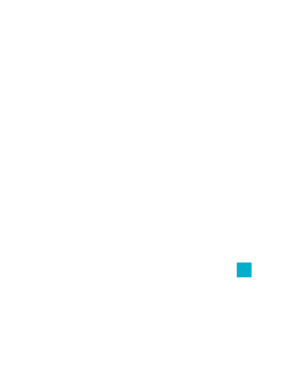 CTex Design